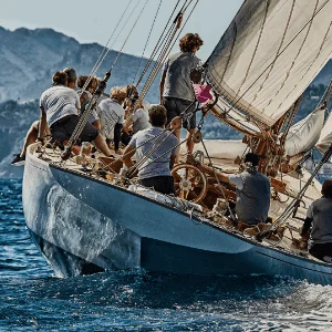 PROJECTMANAGEMENT & CONSULTING